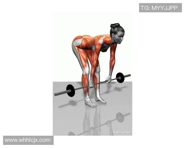 全面解析哑铃锻炼视频教程助你轻松掌握健身技巧与方法